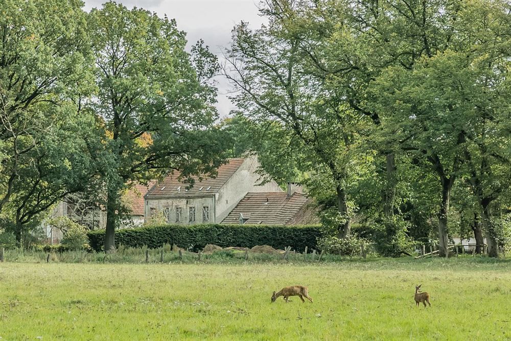 Bed breakfast Floreffe uitbaters